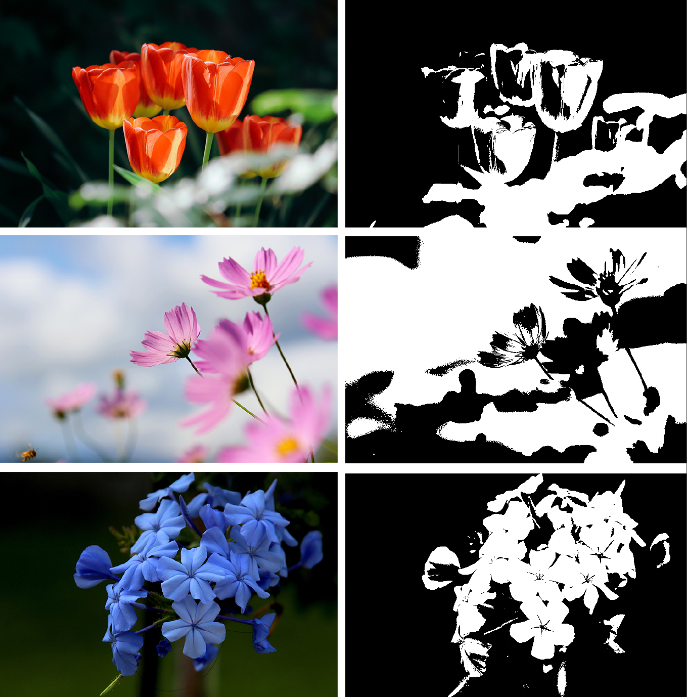 Visual Worlds